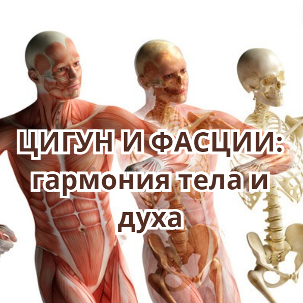 Цигун — это не просто физическая практика; это целая система, которая учитывает взаимодействие тела и духа. Исследования показывают, что цигун может значительно улучшить состояние фасций, а также способствовать психоэмоциональному благополучию. Как сказал д-р Сергей Бубновский: "Заботьтесь о своих фасциях — они заботятся о вас"