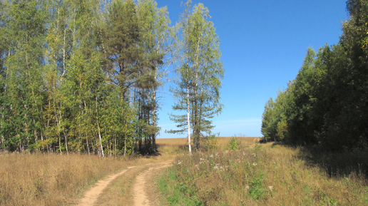 Осень. Для влюблённых в тебя.