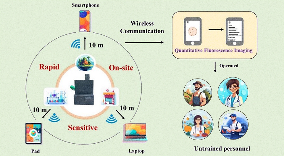   Ye et al. / ACS Sensors, 2024