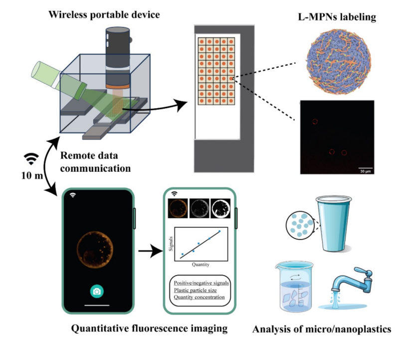   Ye et al. / ACS Sensors, 2024