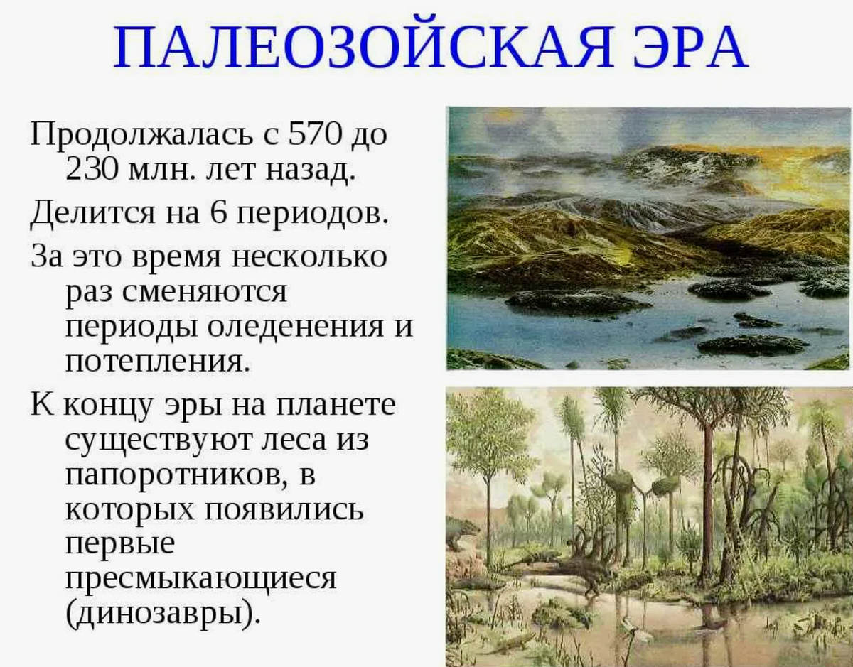 Карбон каменноугольный период. Формирование каменного угля в период палеозоя. Карбон период палеозойской эры. Лес каменноугольного периода зденек буриан. Карбон период палеозойской эры климат.