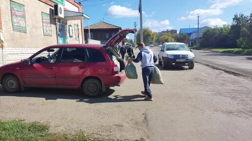 САША СОБРАЛ УРОЖАЙ ТЫКВЫ 👍