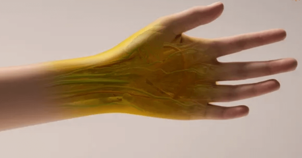    Ученые разработали технологию, которая делает кожу прозрачной. Источник фото: livescience.com