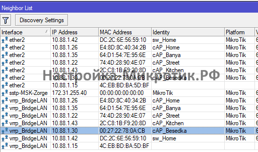 IP > Neighbor List