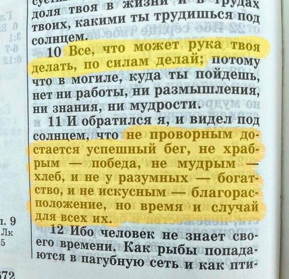 Картинка взята на просторах интернета