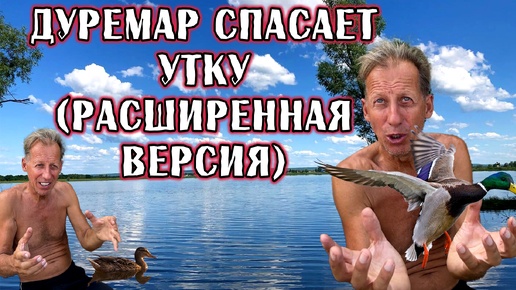 Дуремар спасает утку (расширенная версия)