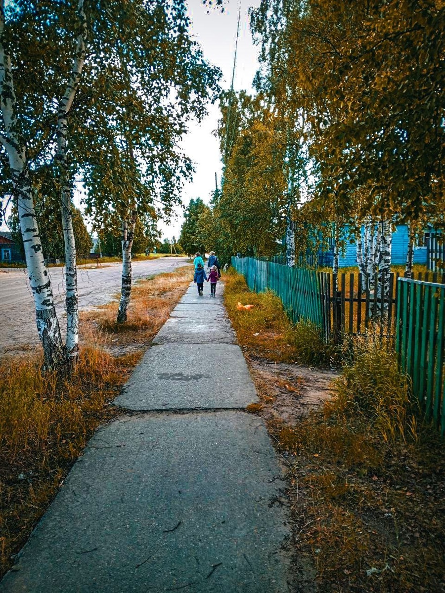 Наша северная осень