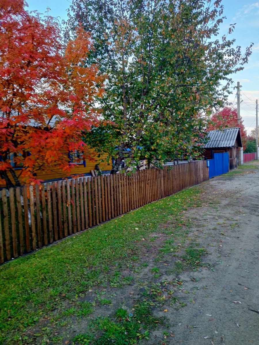 Палитра осени