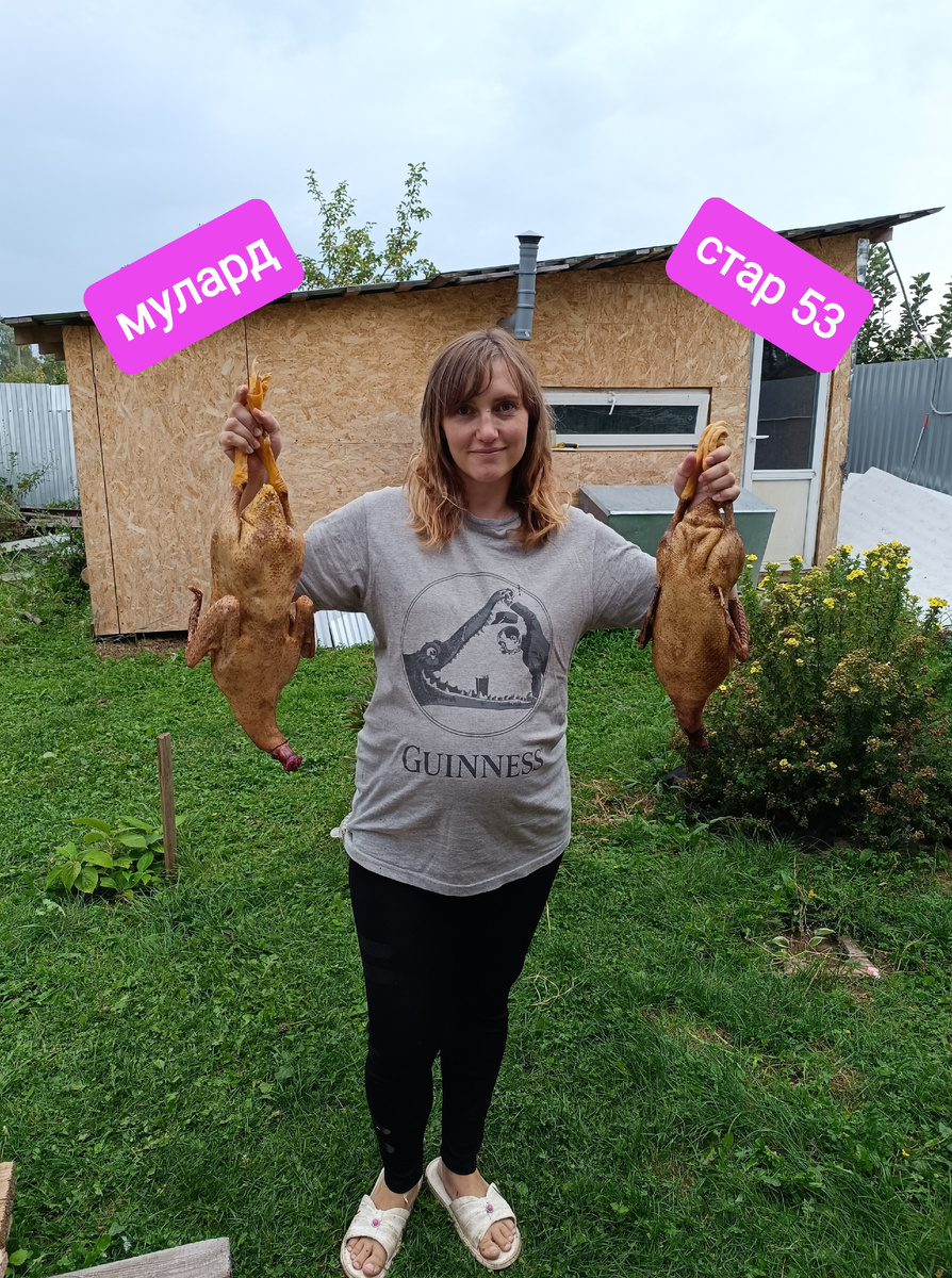 Видно разницу в размере? 