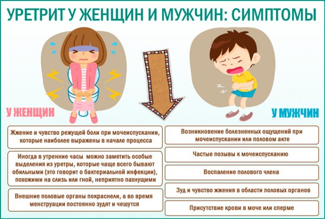 Цистит после секса: почему это происходит и как с этим бороться?