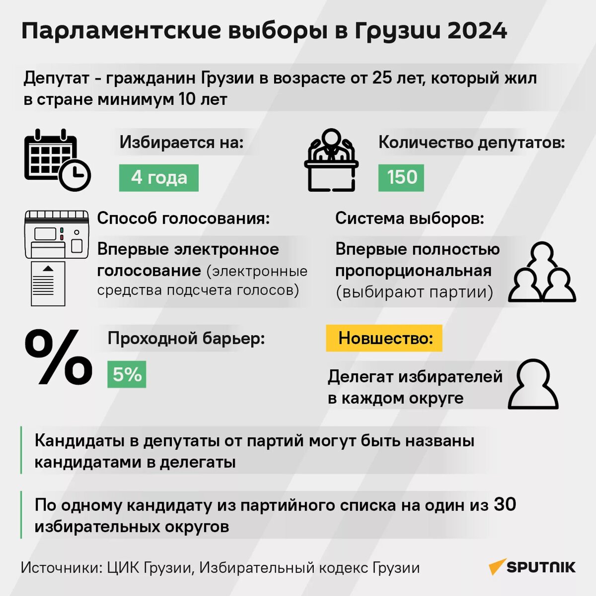 Парламентские выборы в Грузии 2024  © Sputnik