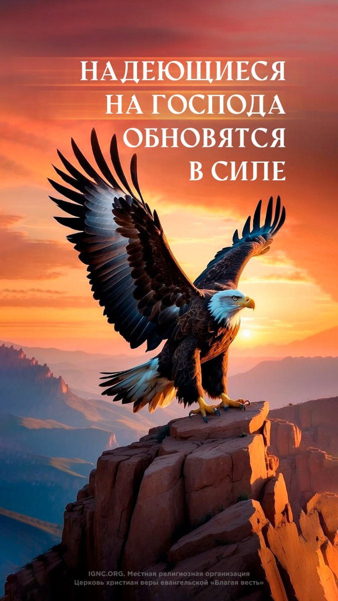 источник изображения - церковь "Благая весть"