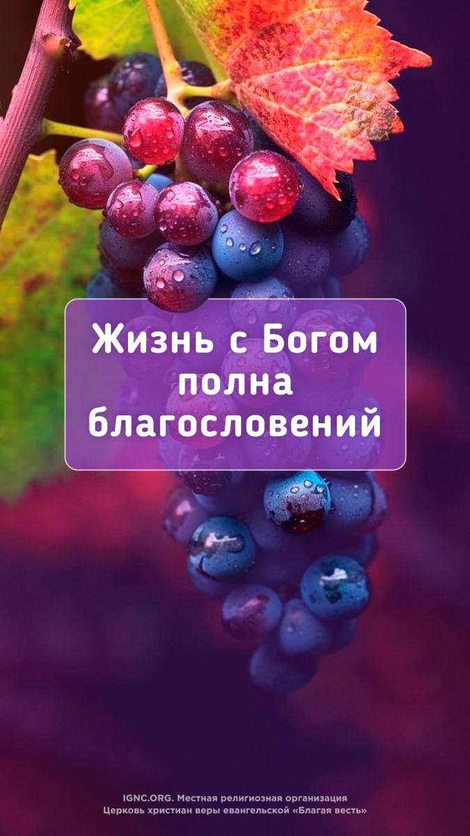 источник изображения - церковь "Благая весть"