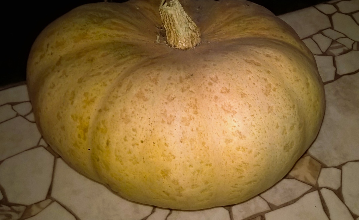 Та, в которую град не попал... или не пробыл кожуру 😊