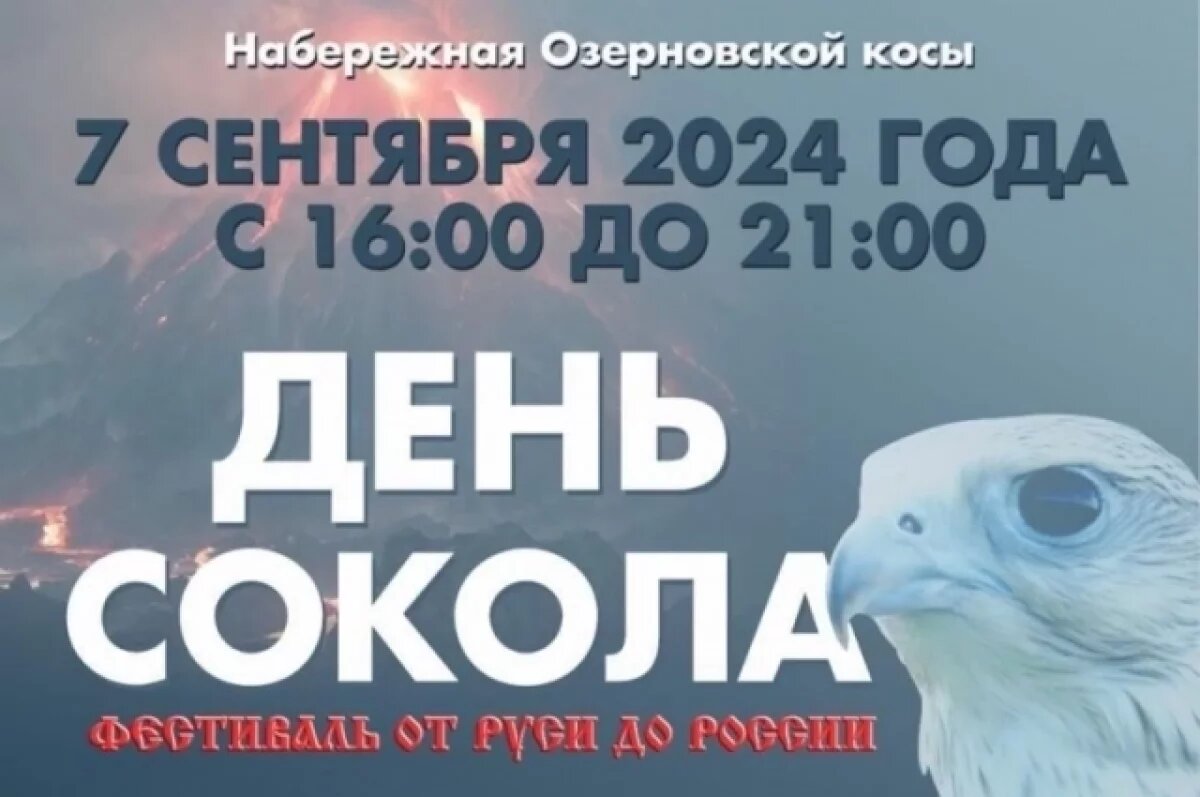    «День Сокола» украсит празднование Дня города в Петропавловске-Камчатском