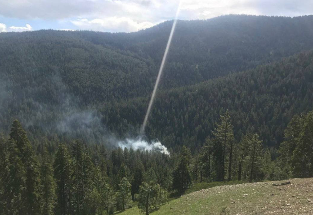 Изображение взято из открытого источника 