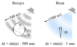 Рис. 2. Использование задержки прихода звука между ушами для определения направления к источнику звука на воздухе и под водой. Звук под водой распространяется примерно в 5 раз быстрее, чем на воздухе, поэтому уловить задержку прихода звука между ушами сложнее. Если также принять во внимание миниатюрный размер использованных в данном исследовании рыб, то выйдет, что задержка для этих рыб под водой будет более чем в 500 раз меньше, чем для людей на воздухе