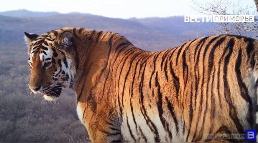    Источник фото: