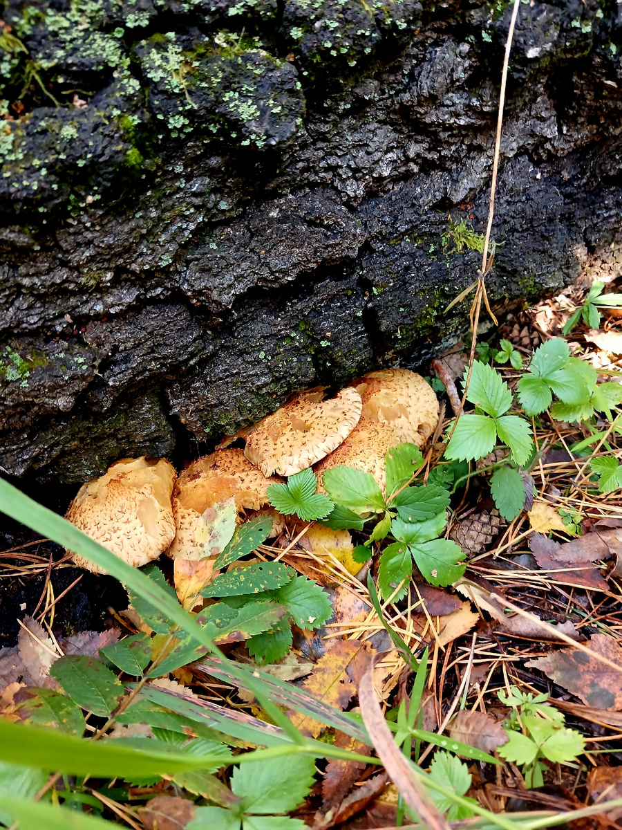 "Доброе утро, мир! Ты прекрасен!" Фото автора 
