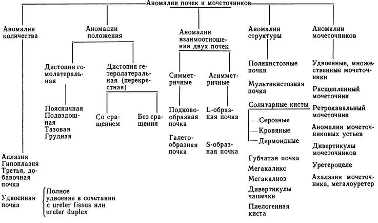 Классификация аномалий почек достаточно обширна, я постараюсь остановиться на более важных моментах.
