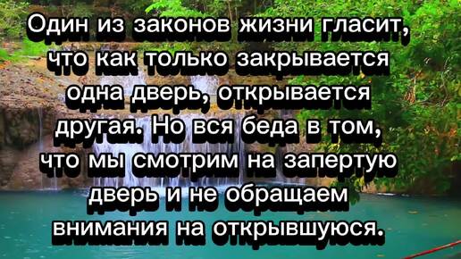 Один из законов жизни гласит.