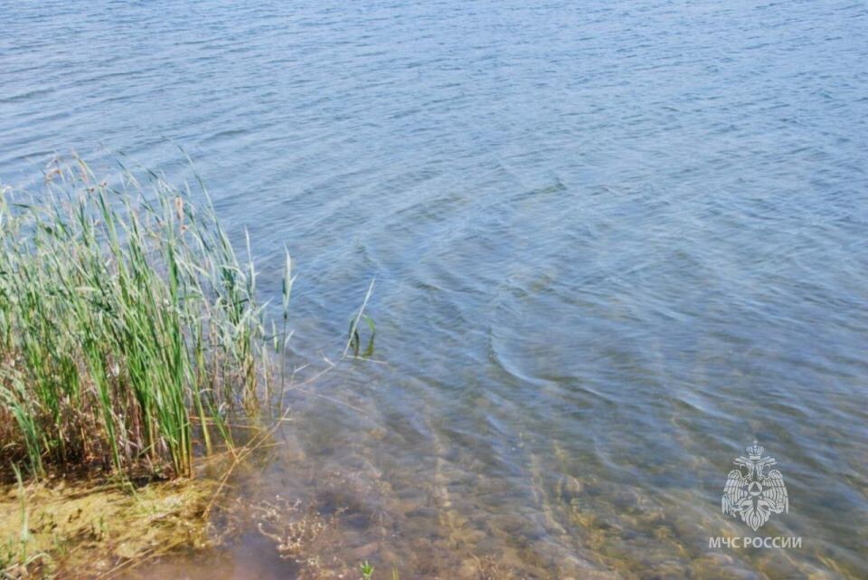    Водоем. Озеро. Источник: МЧС Алтайского края