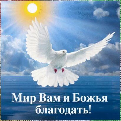 Из открытых источников Яндекса.