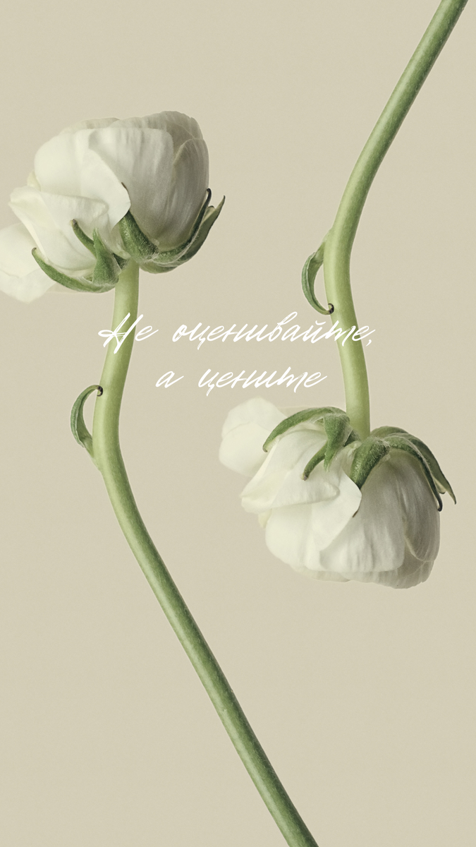 Не оценивайте, а цените 