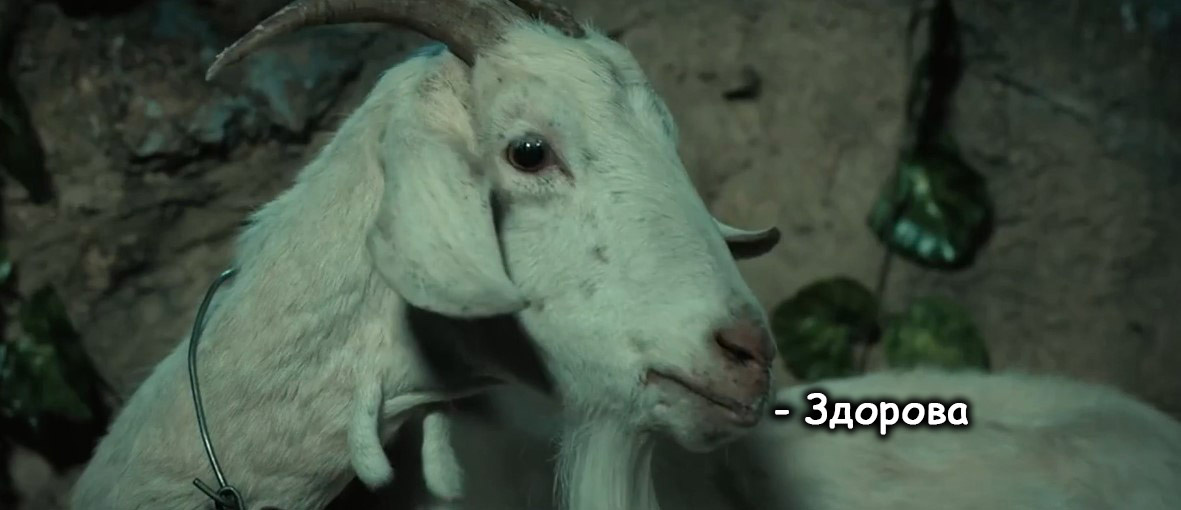 Big Bug Disaster (Da Chong Zai)