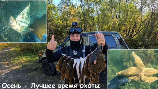 Подводная охота в Кольском заливе Баренцева моря