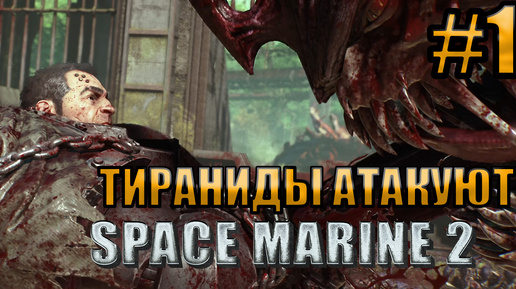 ТИРАНИДЫ БУДУТ УНИЧТОЖЕНЫ l Warhammer 40000 Space Marine 2 l Часть 1