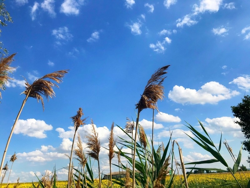    Фото «Вести ПК».
