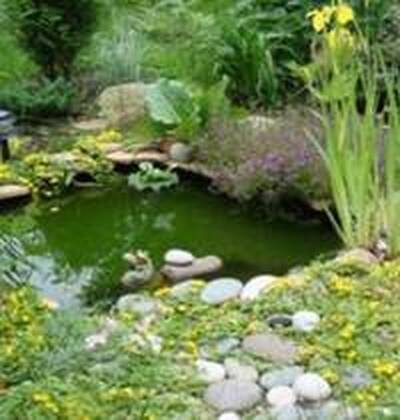 водоем на даче