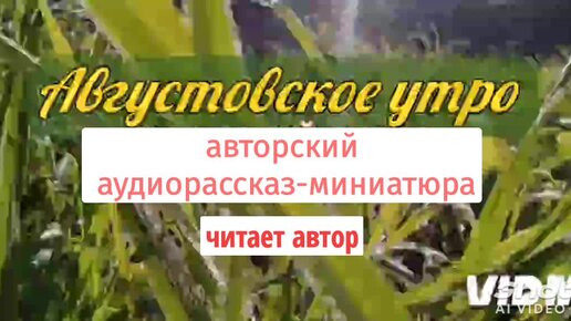 Августовское утро