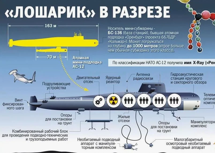 "Лошарик" пока не в строю, но он стал прототипом сразу для нескольких безэкипажных подводных аппаратов. Доступная инфорграфика от КП