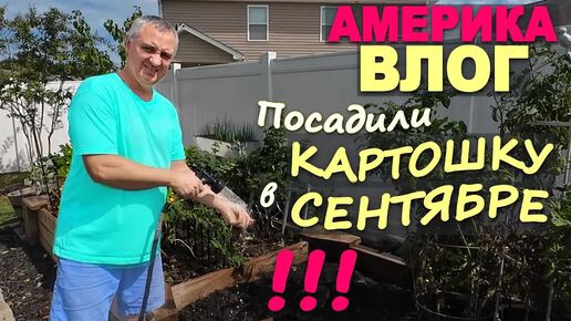 Находка нет слов! Обзор находок из распаковки / Посадили картошку в сентябре, готовим грядки к осени