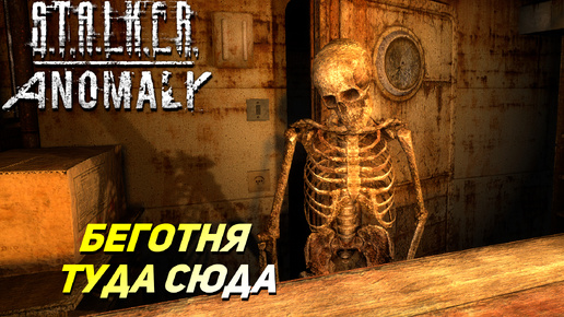 БЕГОТНЯ ТУДА СЮДА ➤ S.T.A.L.K.E.R. Anomaly #42