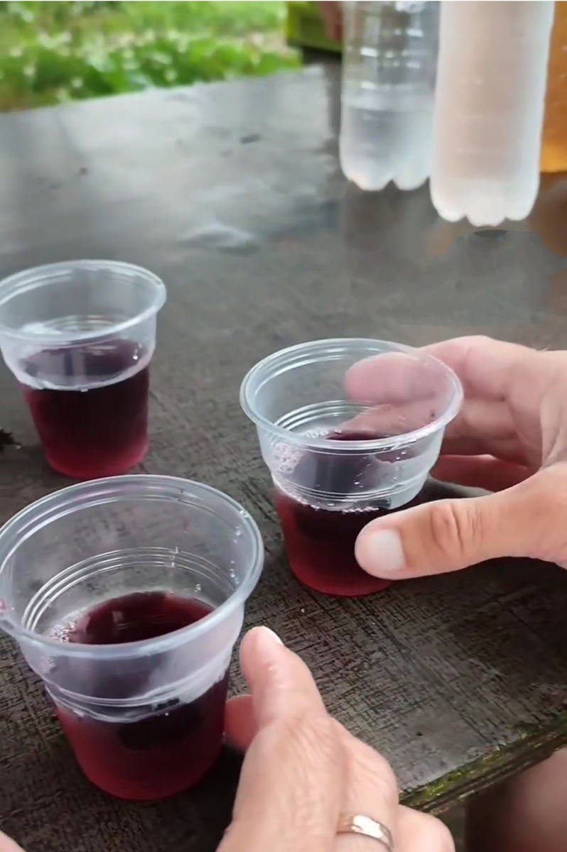 Мы попробовали много разного вкусного домашнего вина