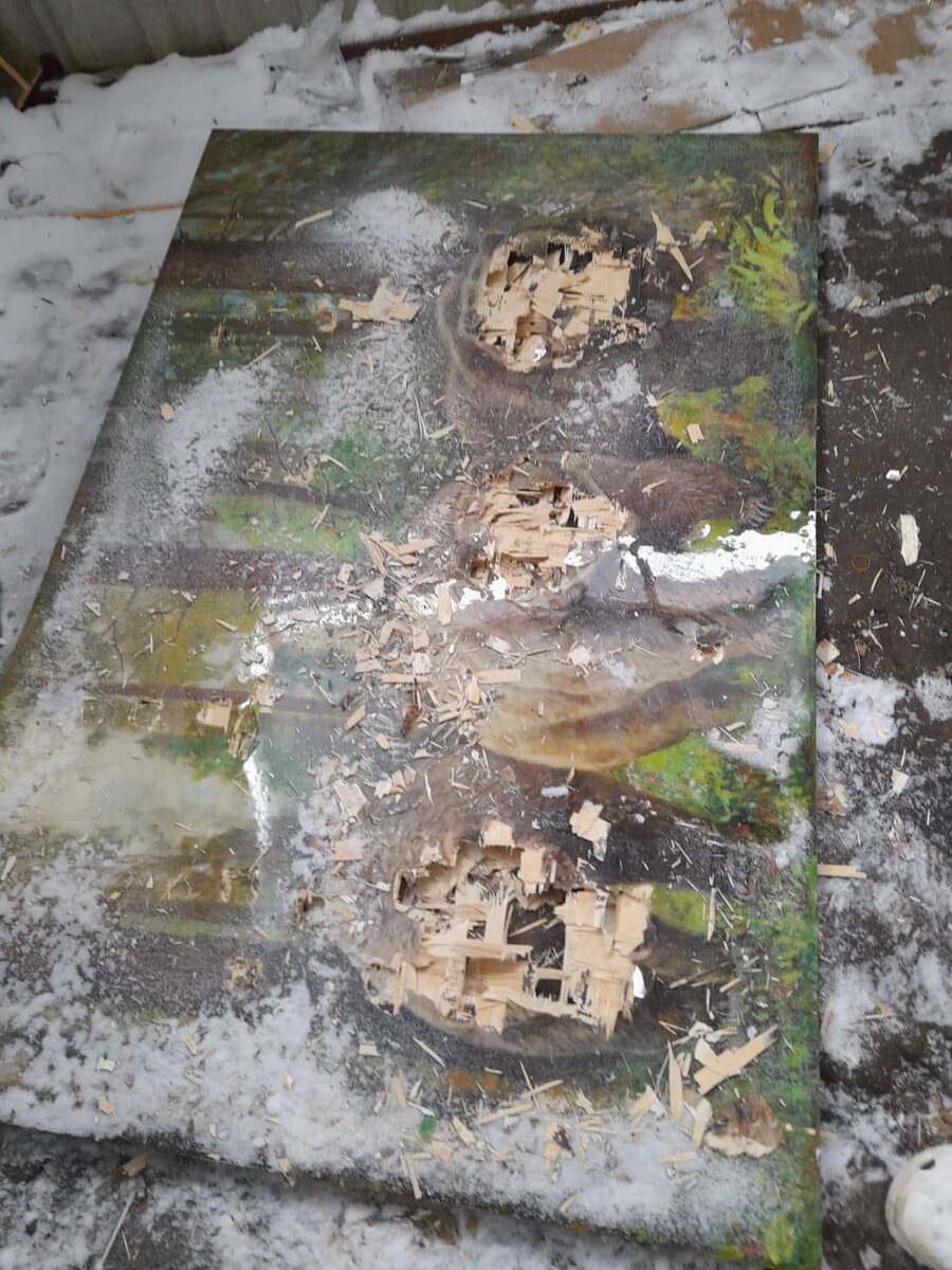 Вот такую фотографию я получил после отпуска 