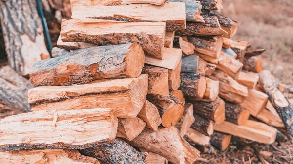    © Photo : Unsplash / Anderson Schmig