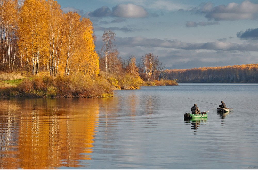 Фото с сайта: https://gochs.sakhalin.gov.ru
