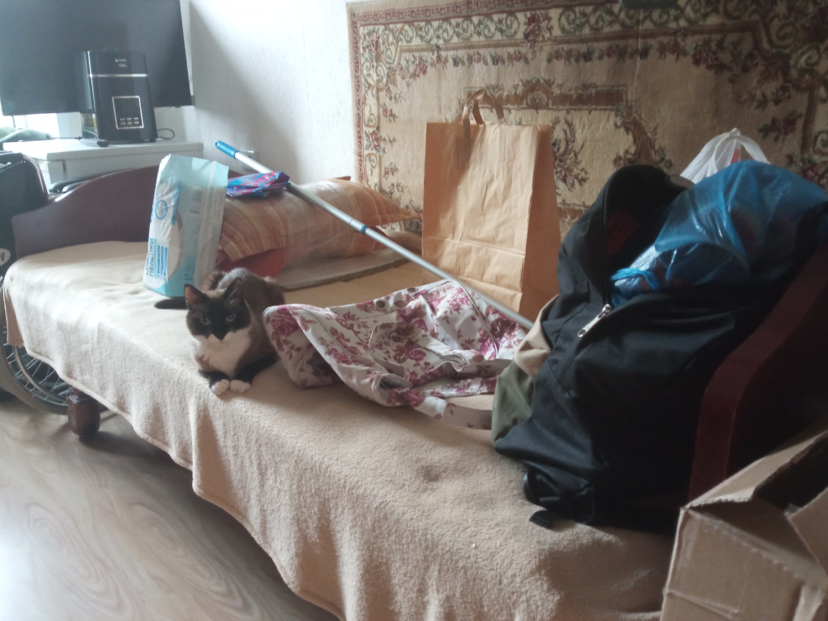 Сима контролирует сборы. А про книгу не напомнила.