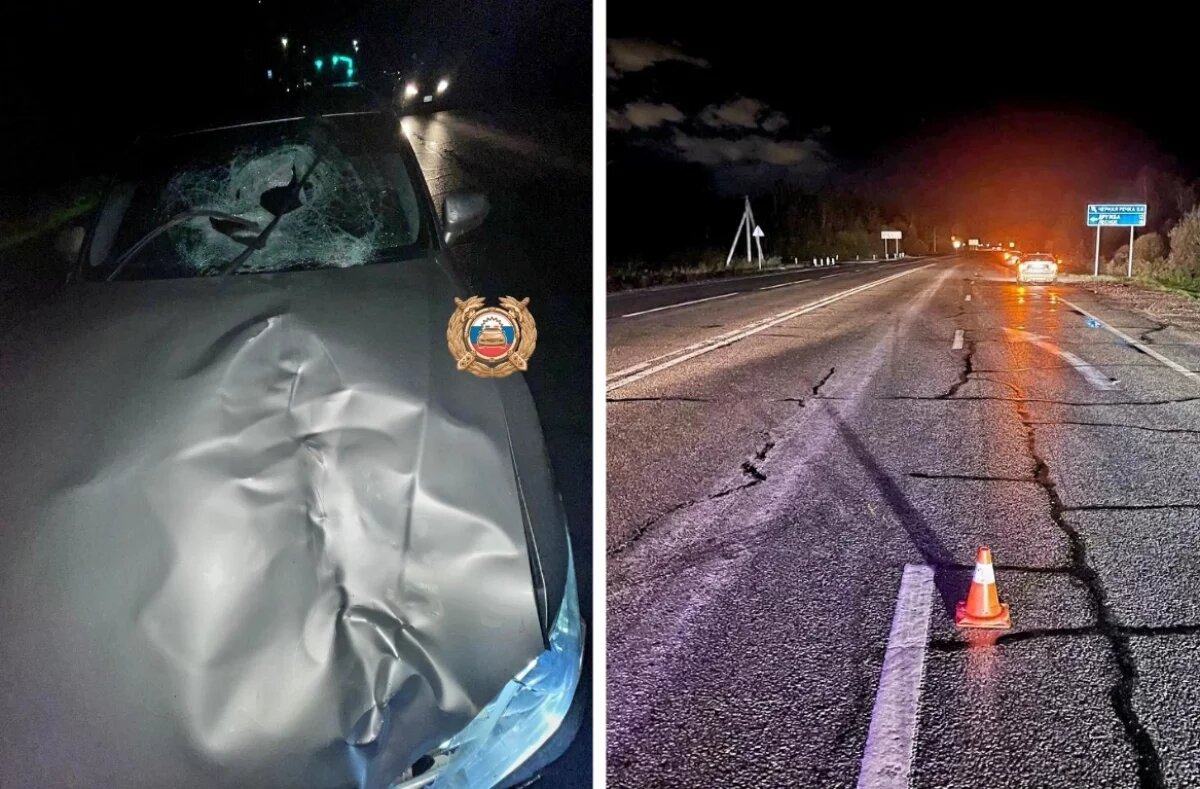    Автомобиль жёстко сбил ребёнка на федтрассе под Хабаровском