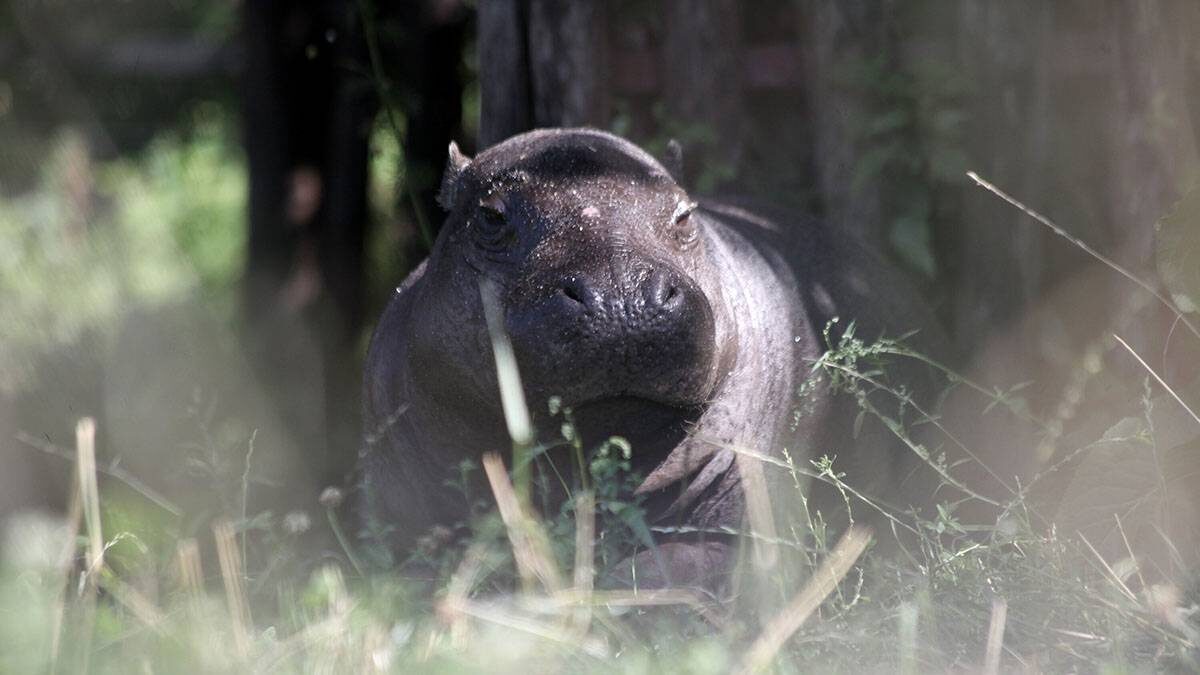    Фото: Александр Авилов / АГН Москва