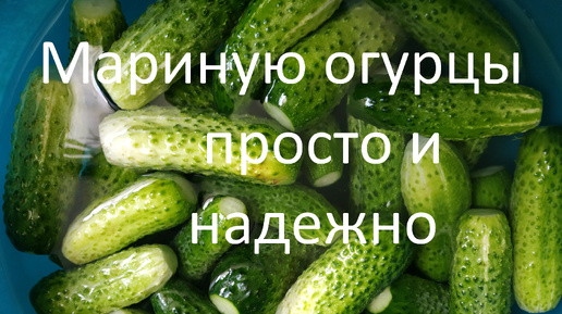 Мариную огурцы просто и надежно