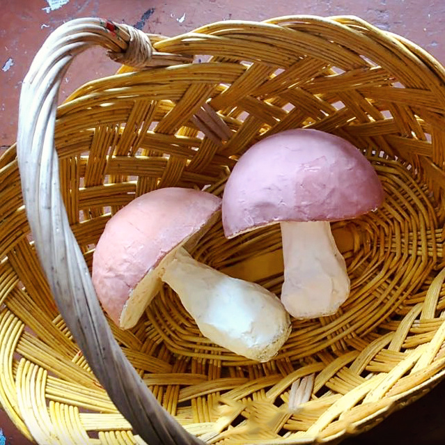    Самодельные грибы   
Источник: Скриншот из видео