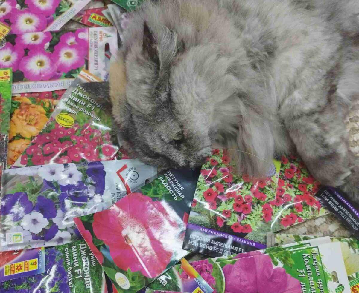 Фото из личного архива