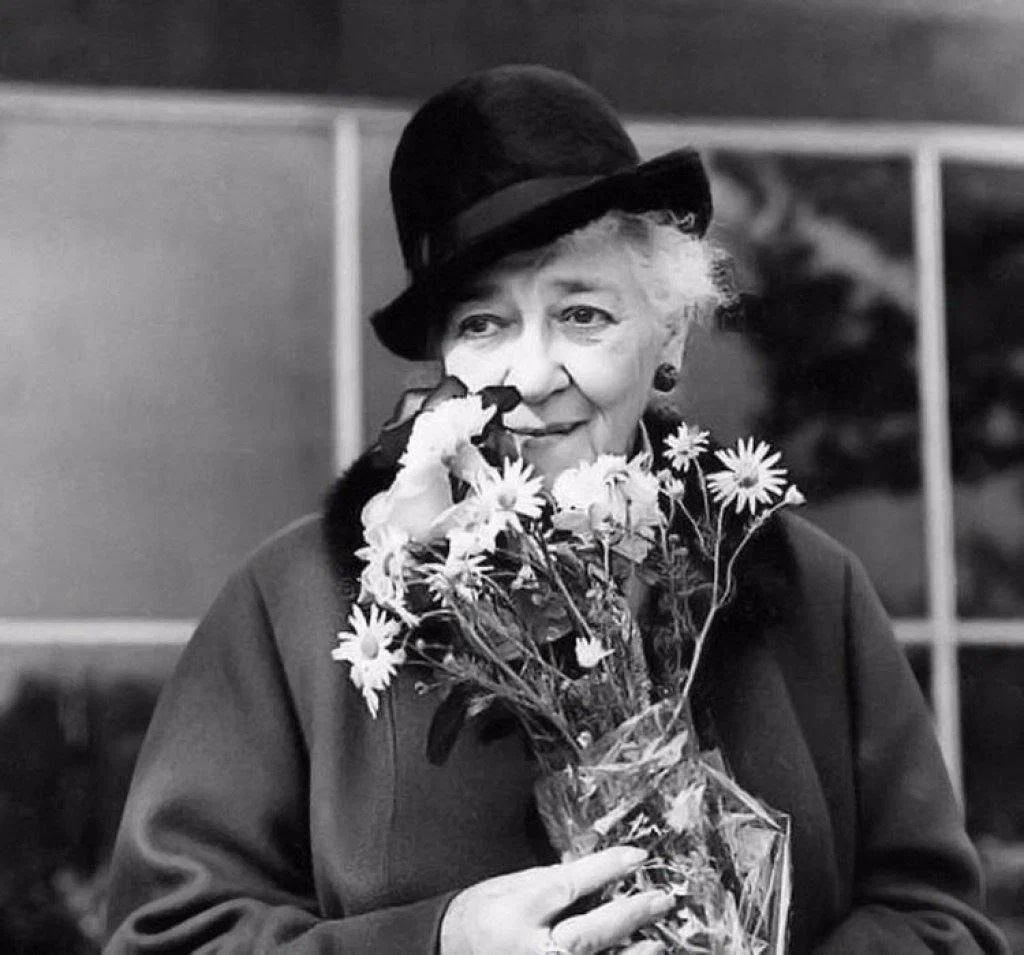 Фото из открытого источника 