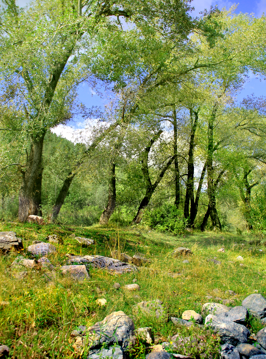 Фотография, стихотворение Василия Глуцкого
