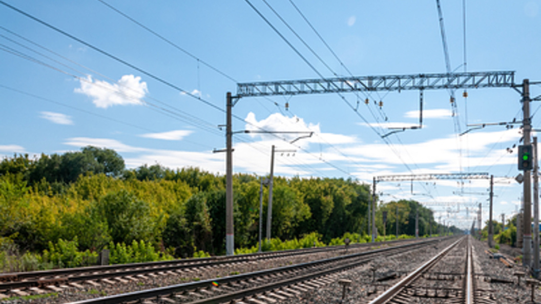    Фото: Svetlana Vozmilova/Globallookpress